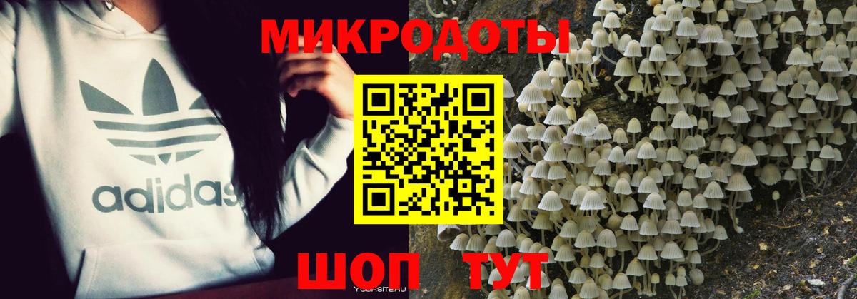Гагарин  Галлюциногенные грибы GOLDEN TEACHER  Вход с VPN 